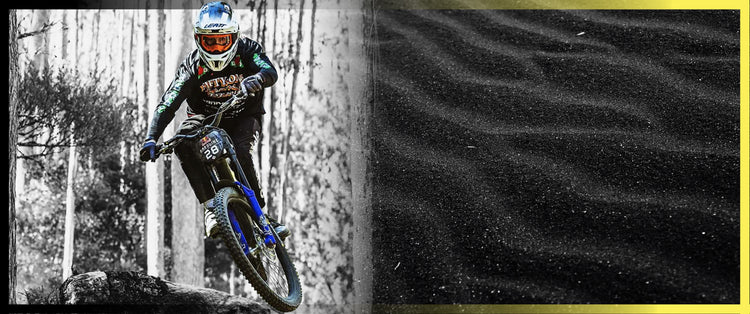 Santa Cruz Syndicate